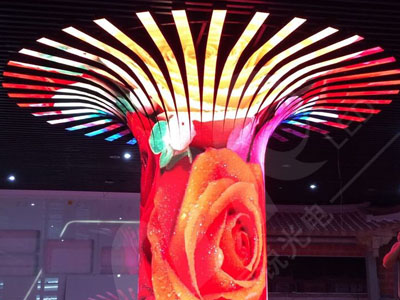 佳恒樹形LED顯示屏項目